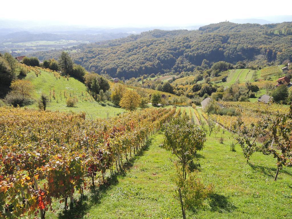 Vineyard Cottage Janko & Metka Otočec Eksteriør billede